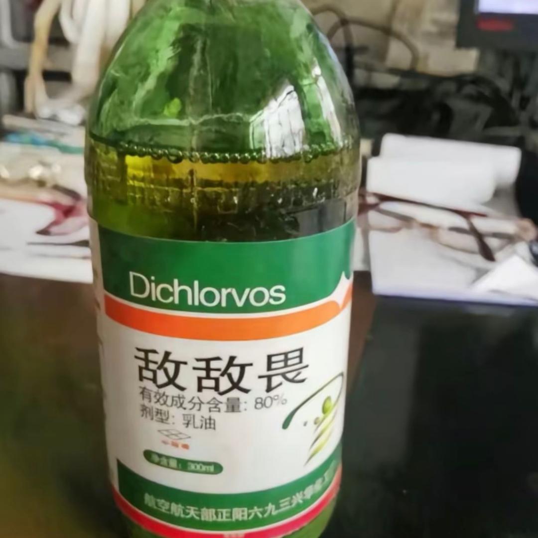 生活把老娘b成了泼妇