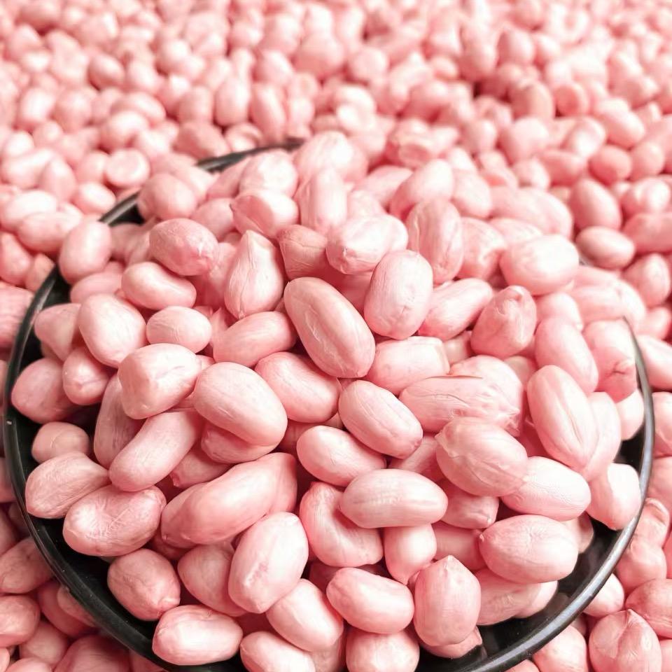 地道花生农产品