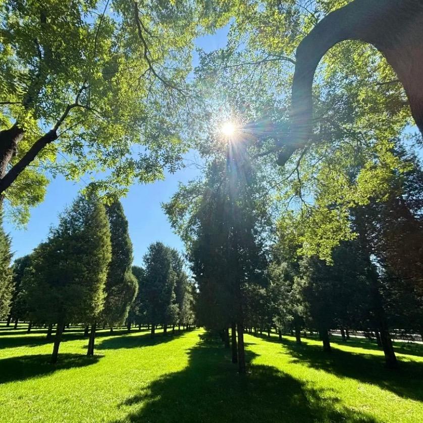 Rime-晚屿甜雪（晶灵）