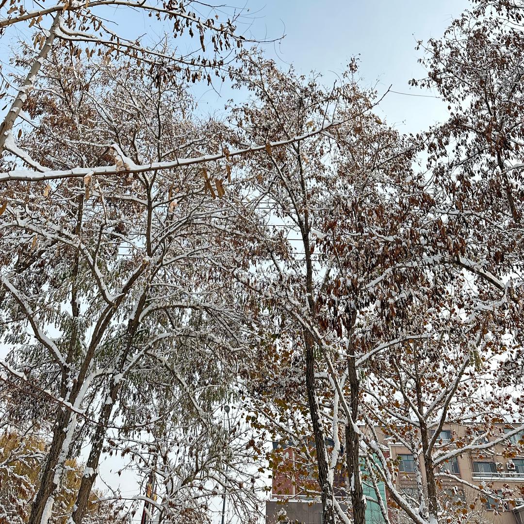 跑江湖的小鞋匠