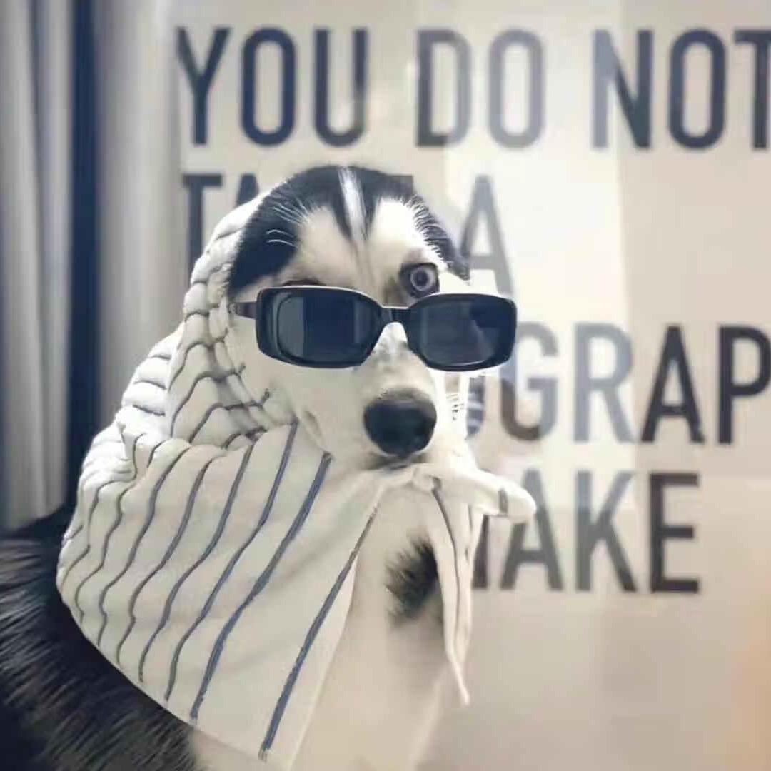 本少爷、玩世不恭