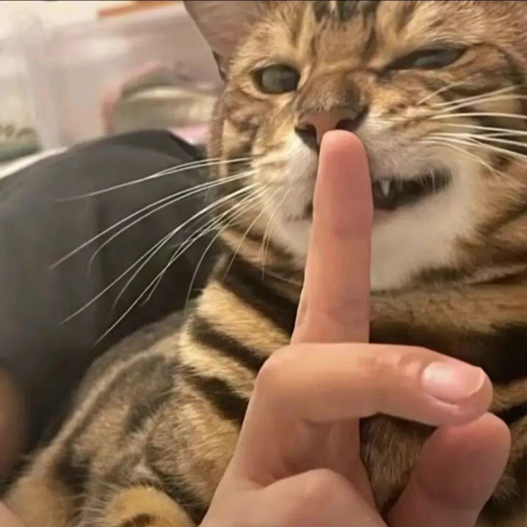 A晋兰亭
