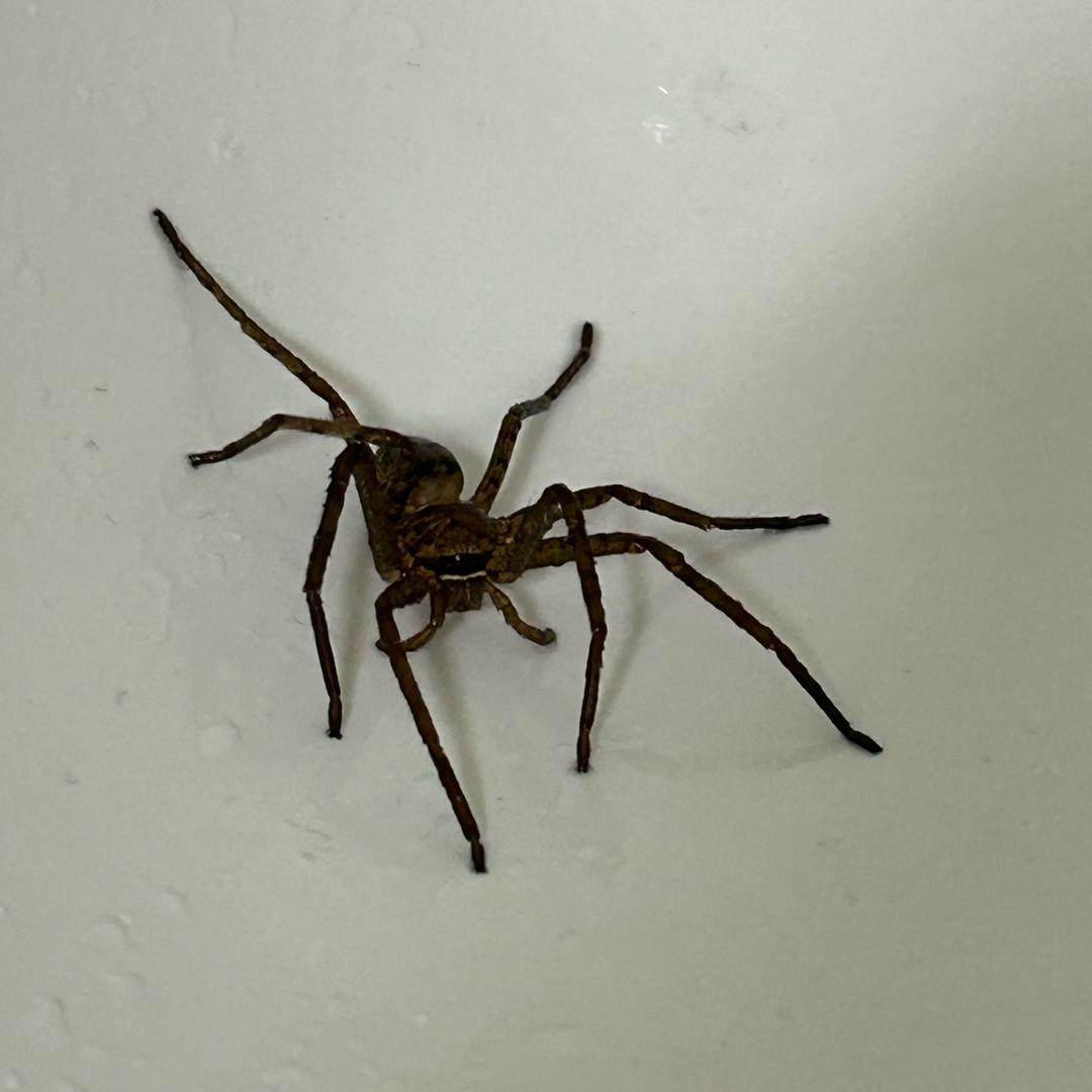 脊地南沙万达店小张