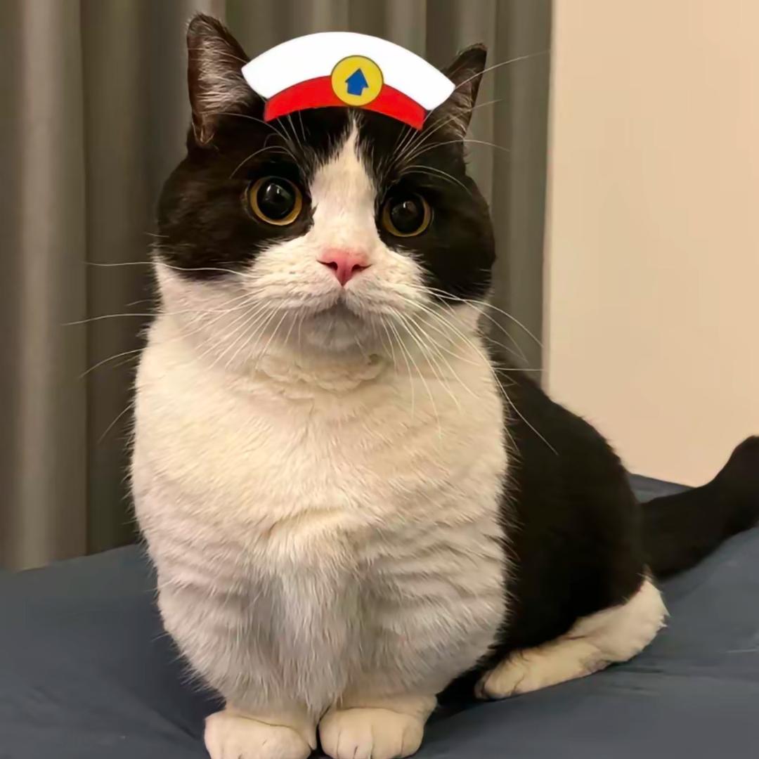 黑猫警长