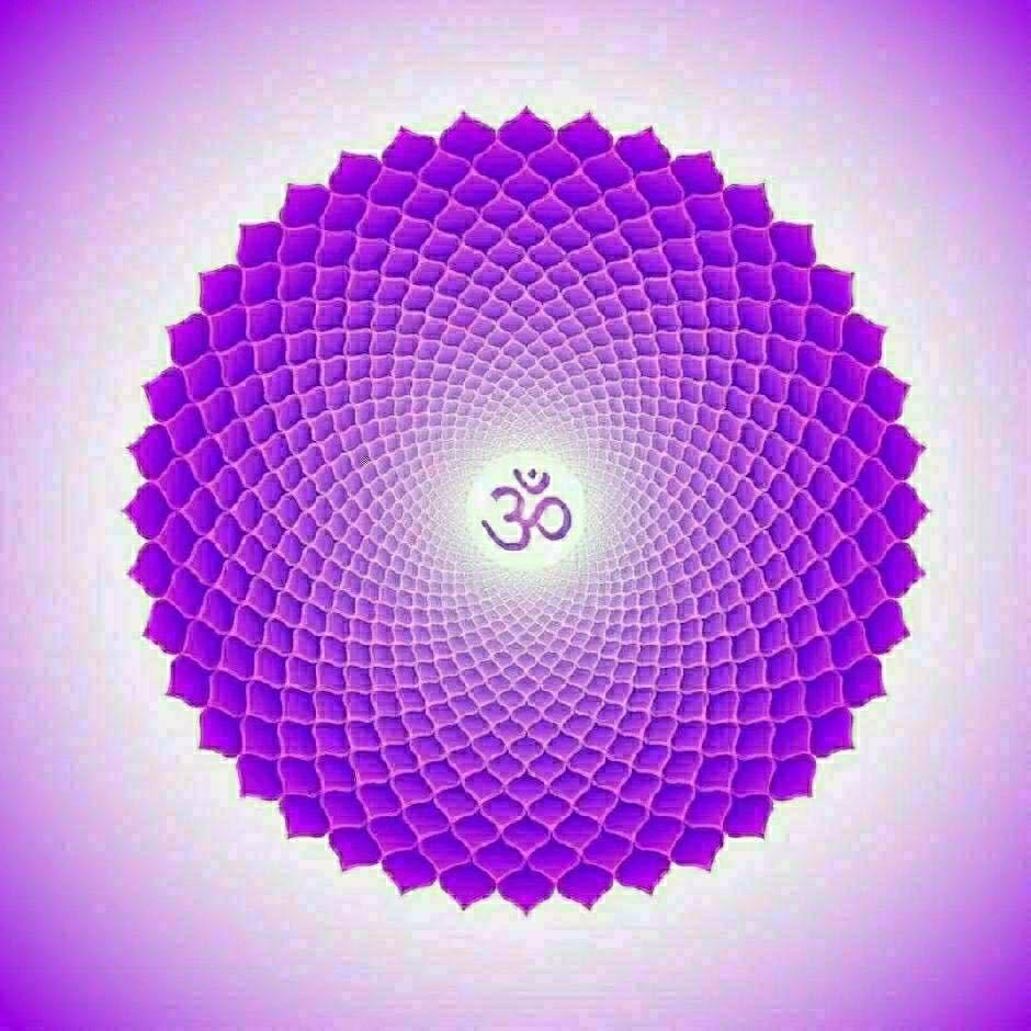 郭政熙玩玩玩道德经