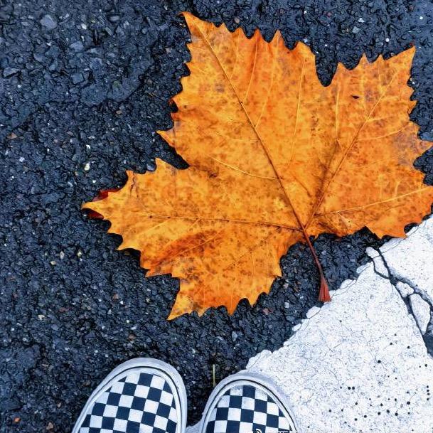 爱洗车的CGX（FIREBALL火球）