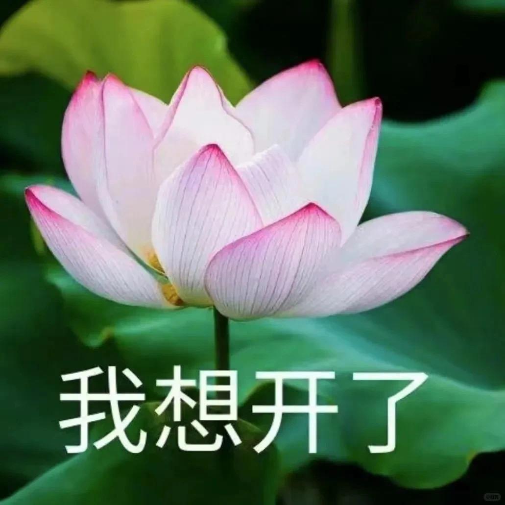 漂漂