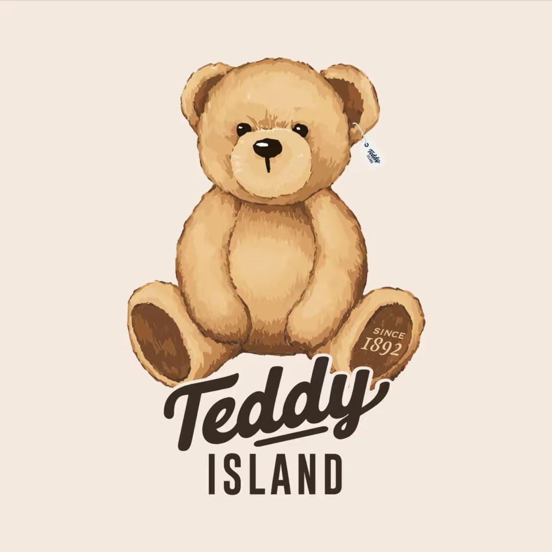 TEDDY ISLAND拖鞋旗舰店