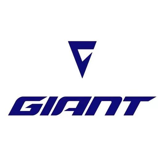 GIANT（郑州连云路店）