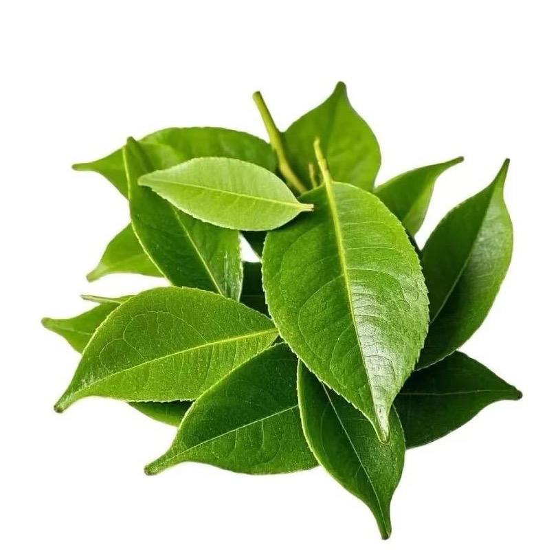不太喜欢你