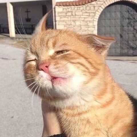 Nnnnnn