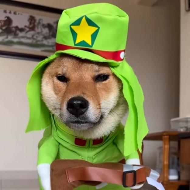 糖果果果果果果