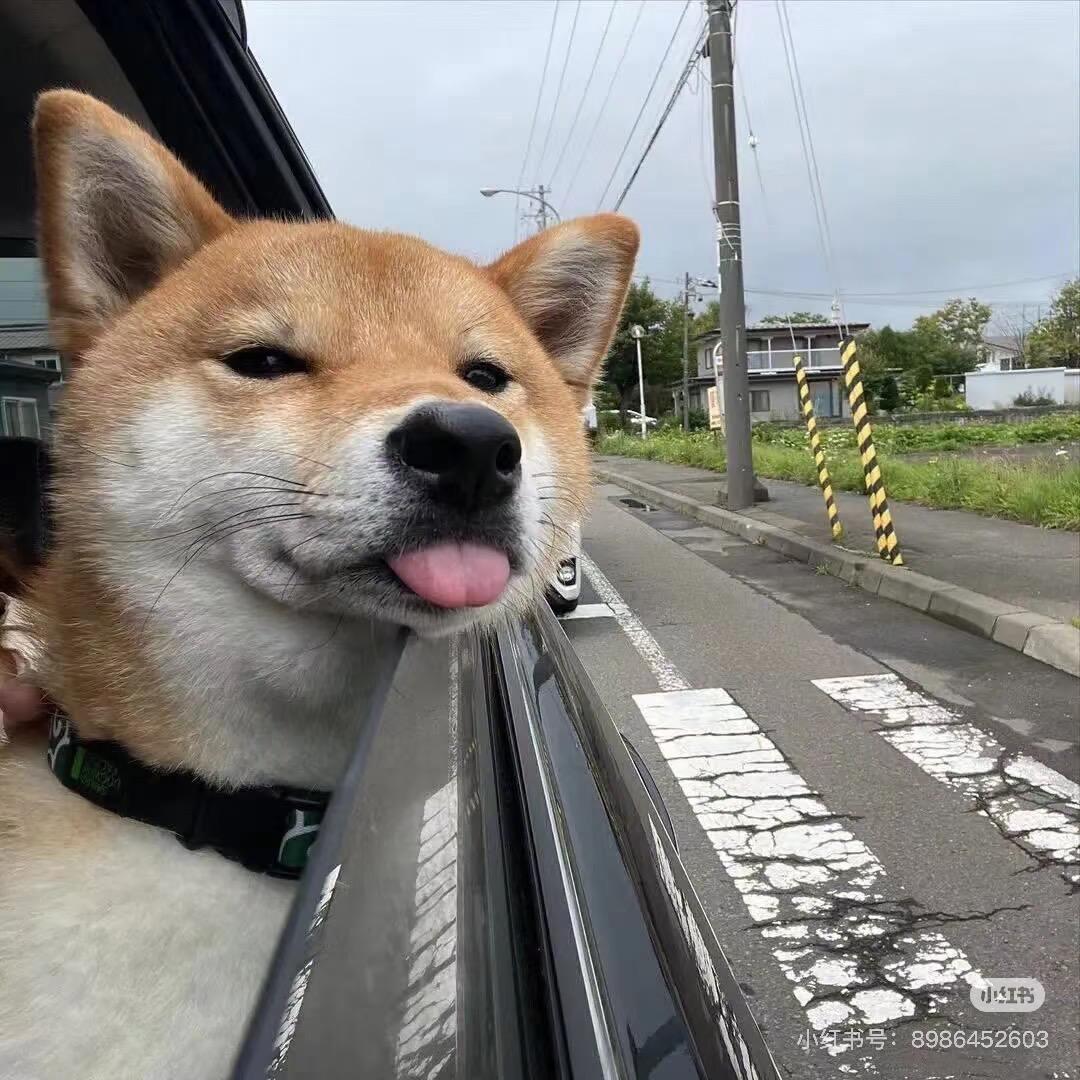 安徽纯手法阿楠