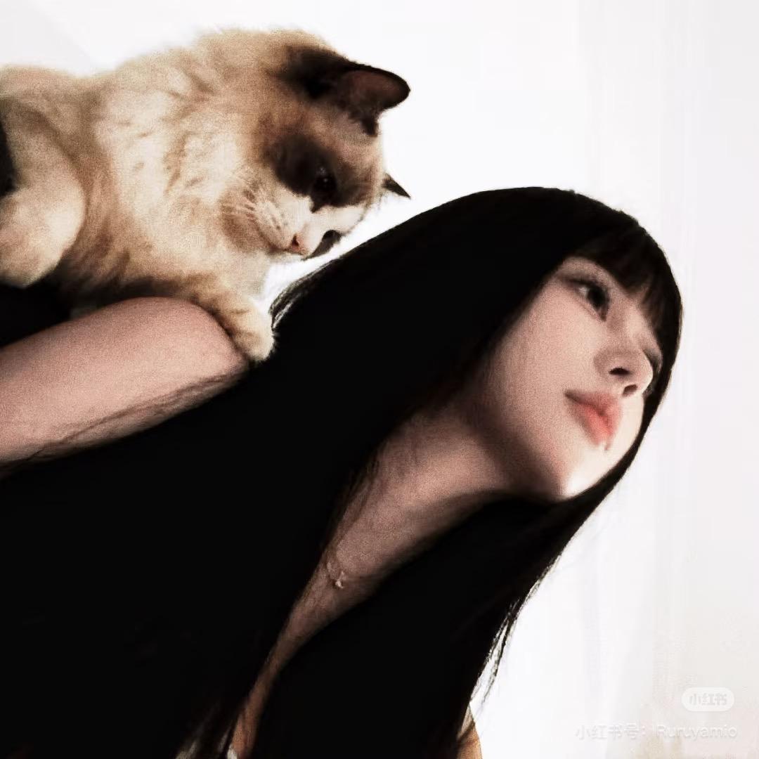 Kitty🐈