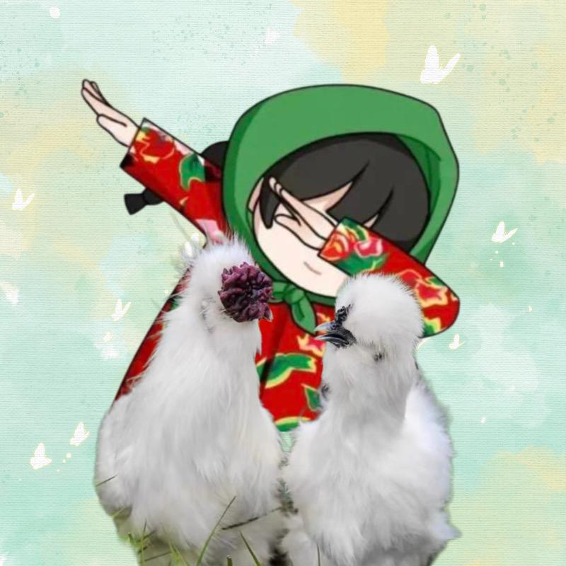 凤皈元原种泰和乌鸡1