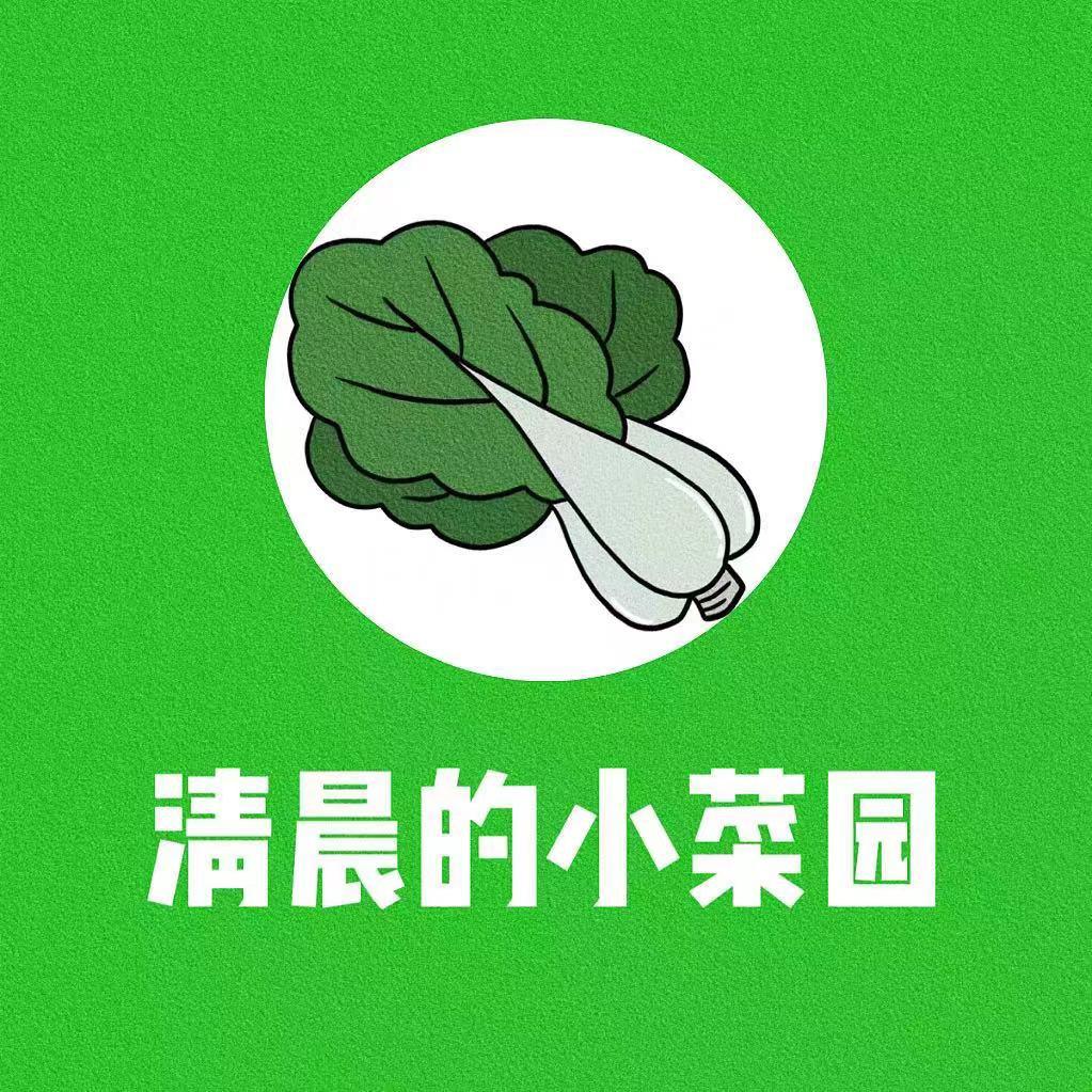 清晨优选百货