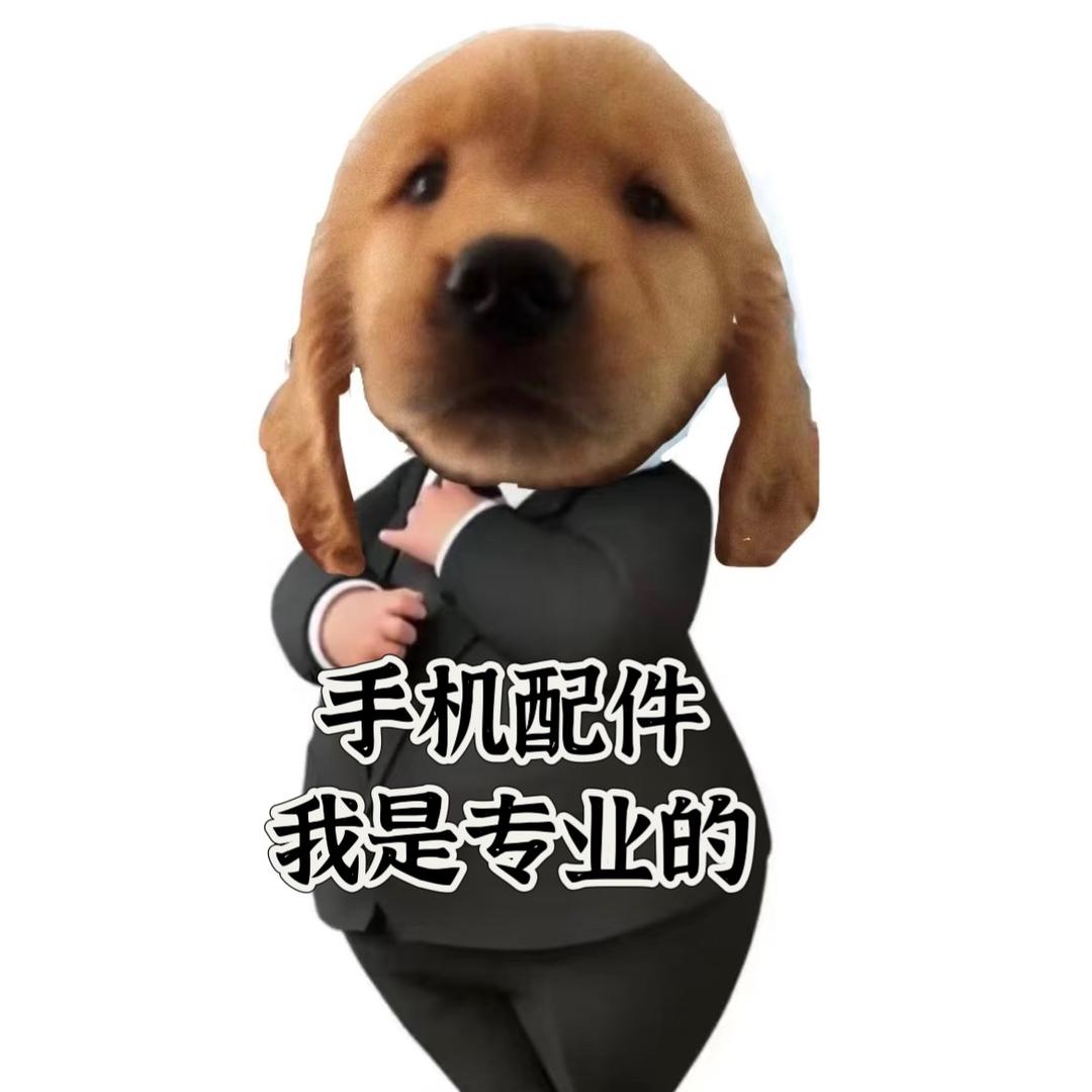 重生之我在华强卖手机配件