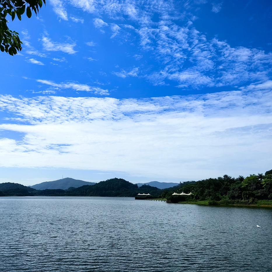 蓝色的大海