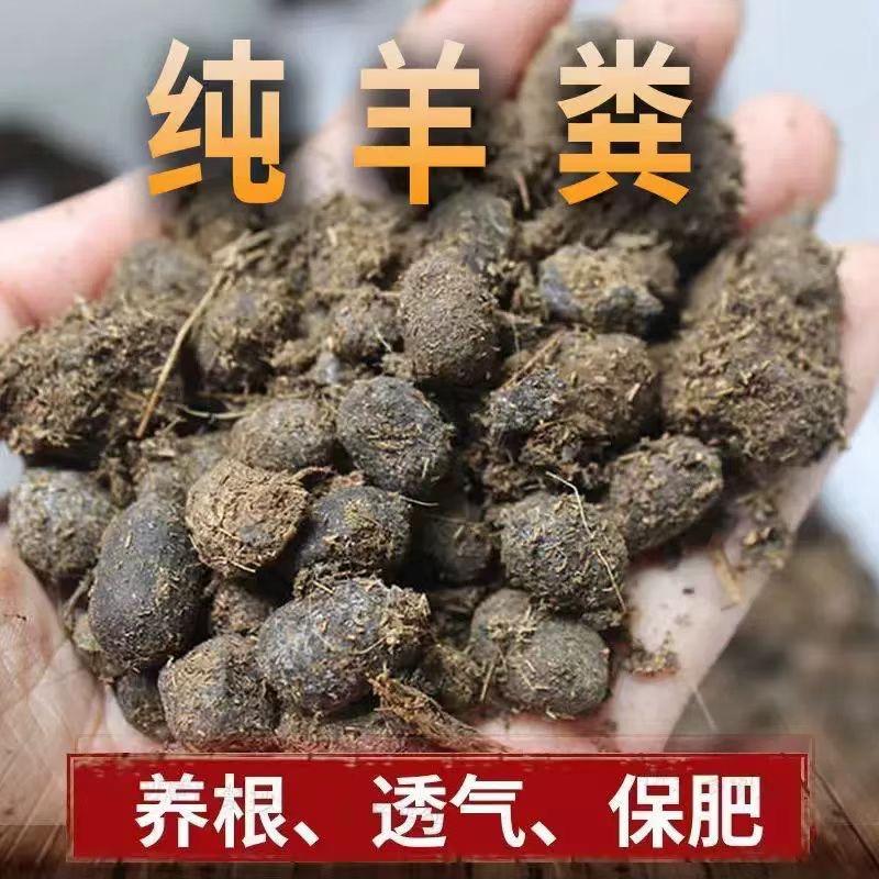 美女粪斗农家肥