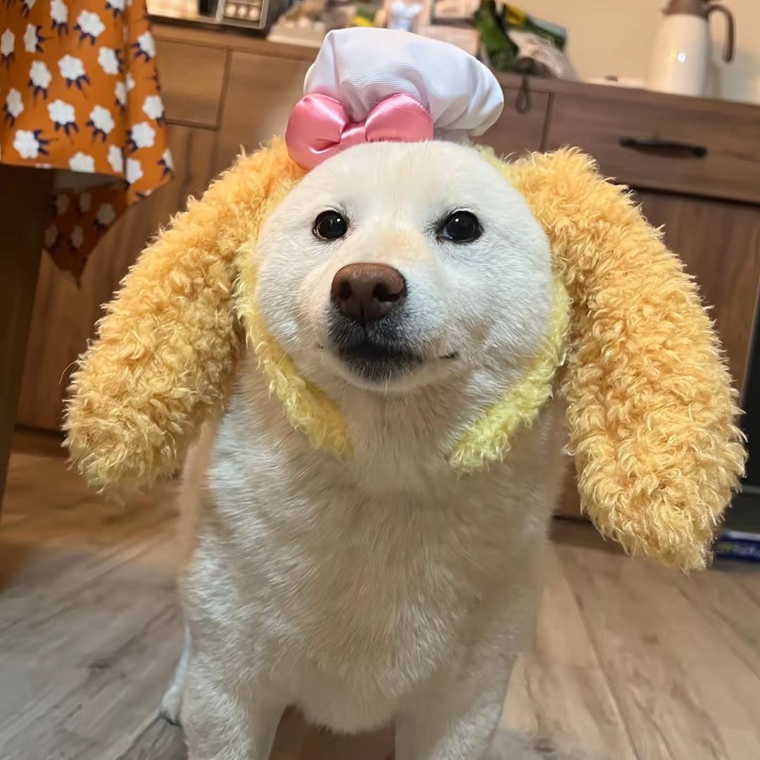 杨枝甘露半糖少冰去西柚