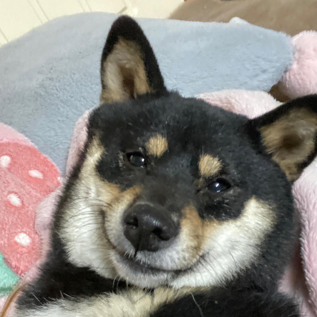 檀火火（编剧版）