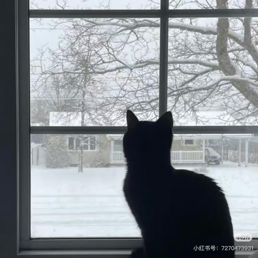 ㅤ     ㅤ     ㅤ  彤.