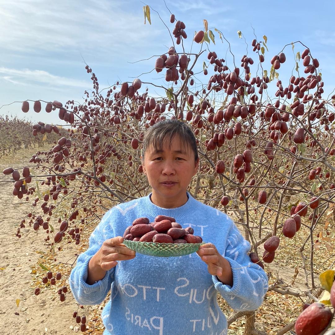 和田昆玉种枣华姐（助力三农）