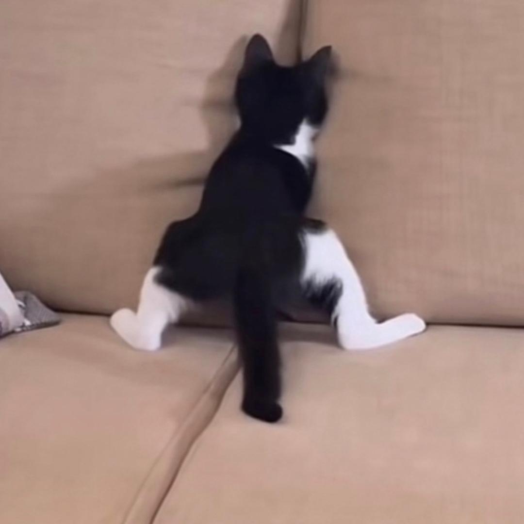 远、