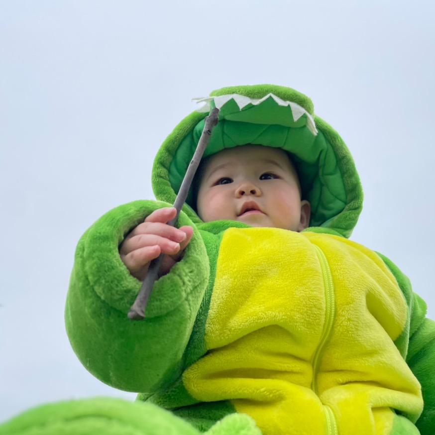 跑得欢快的小海龟