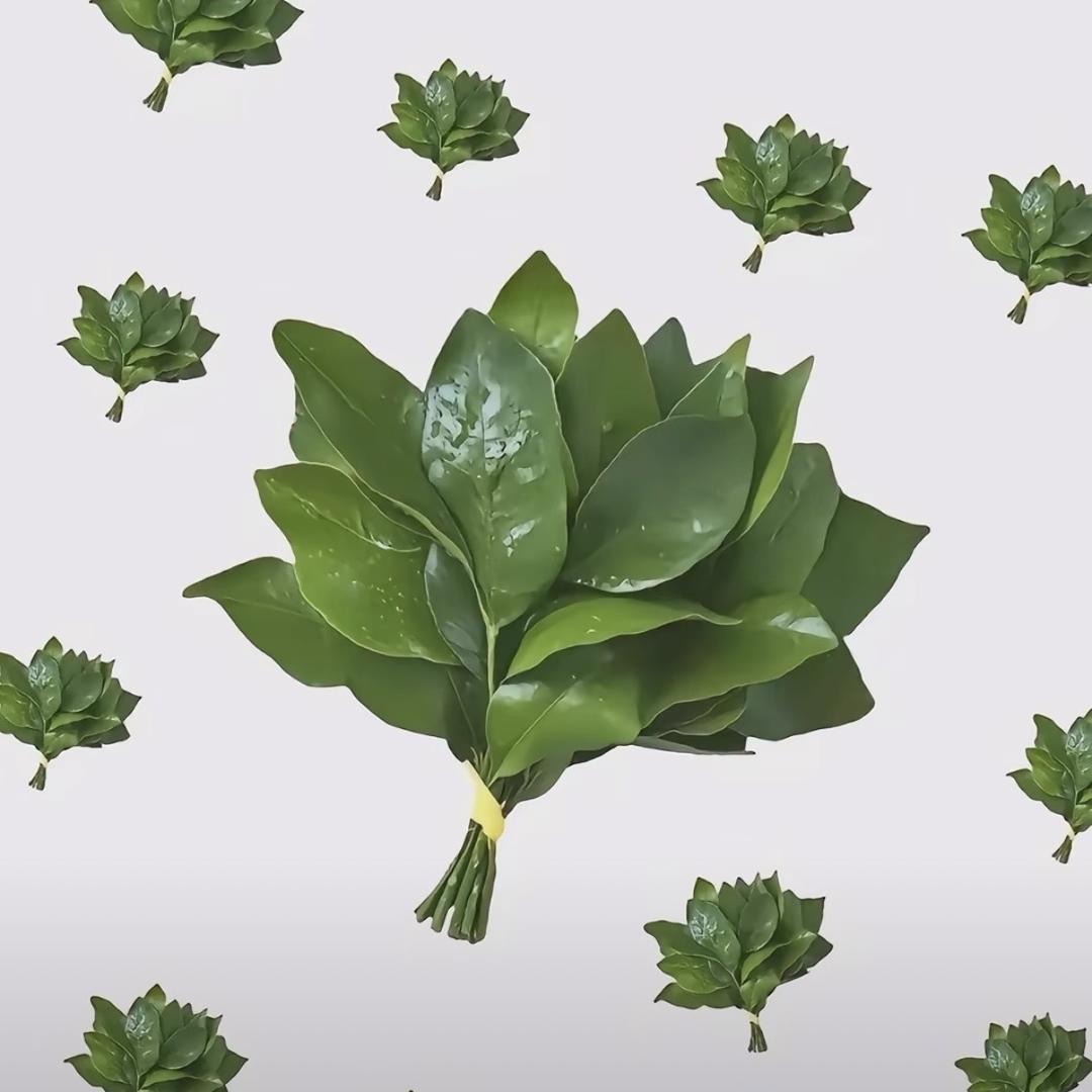 金瑶百货优品小铺