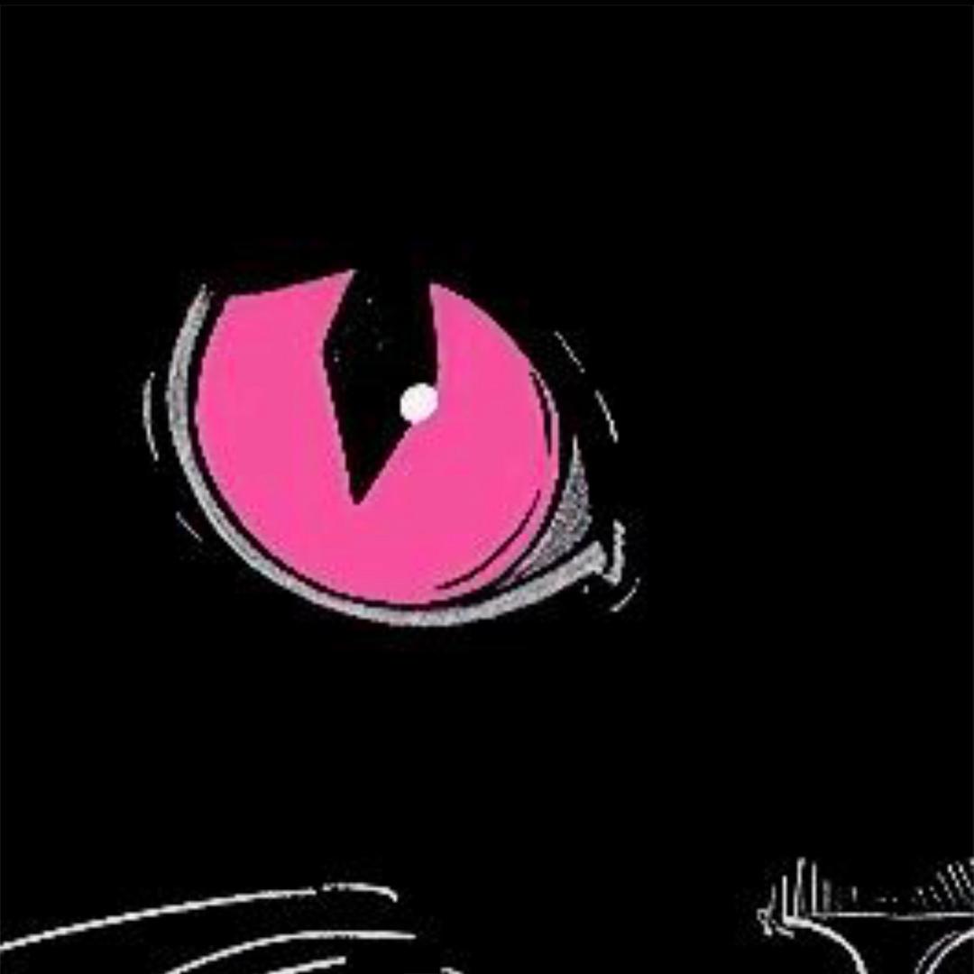 希望有羽毛和翅膀