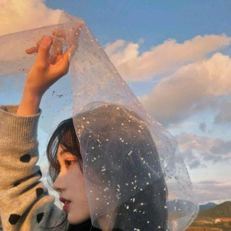 一株骄傲的仙人掌🌵