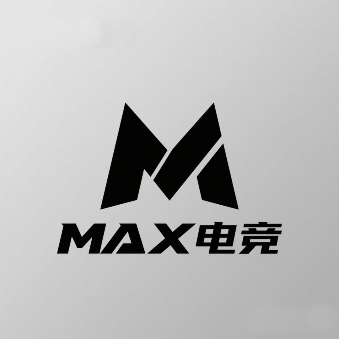 冠县MAX电竞