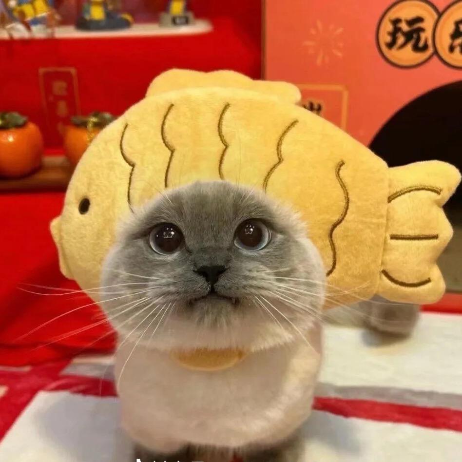 仁壳鱼