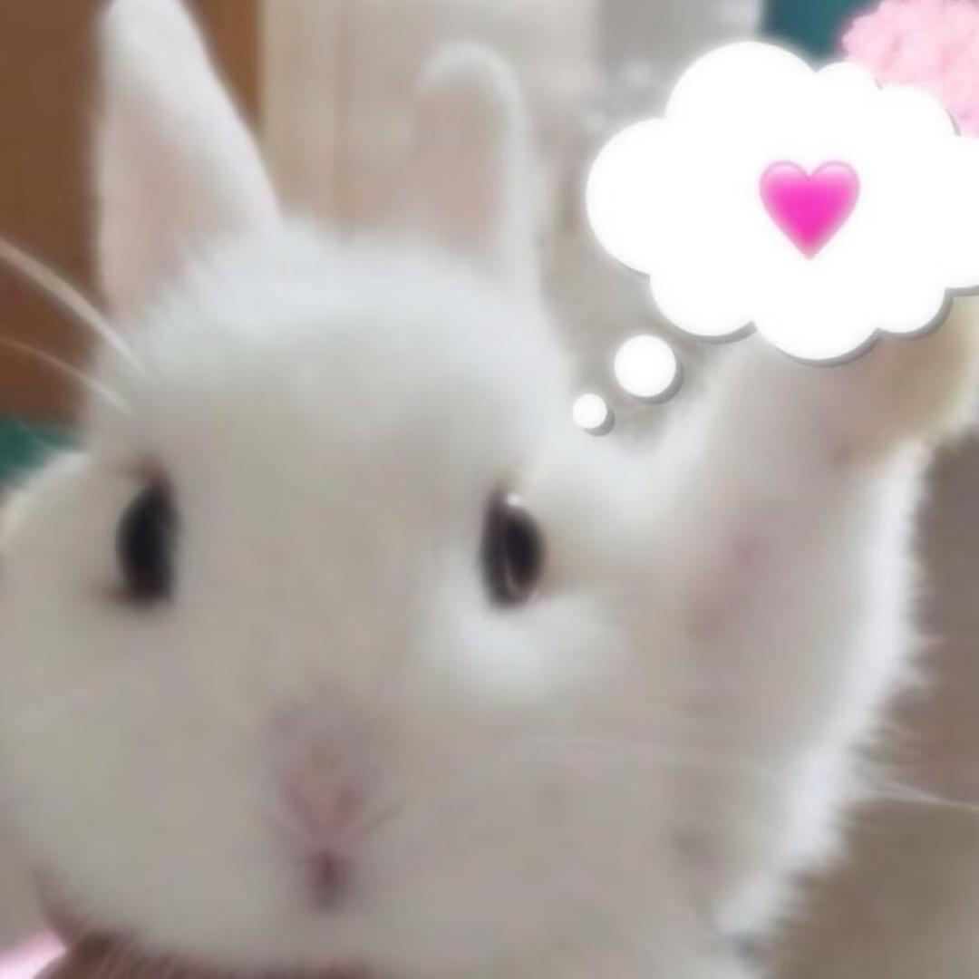 烤羊腿