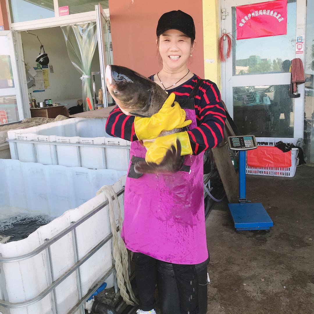 开心❤宝贝【活鱼🐠批发】