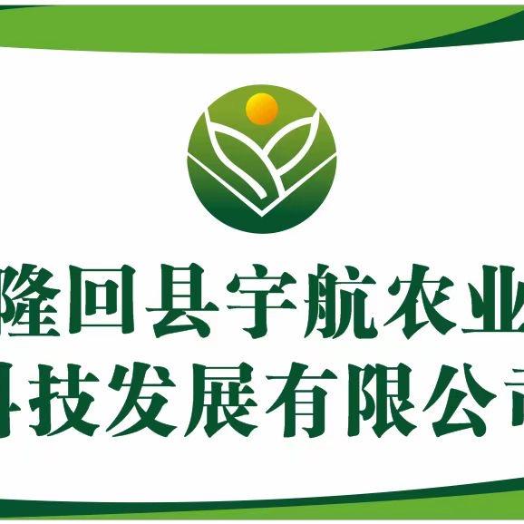 东山香食品