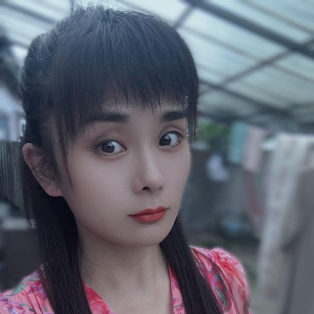 凤凰于飞