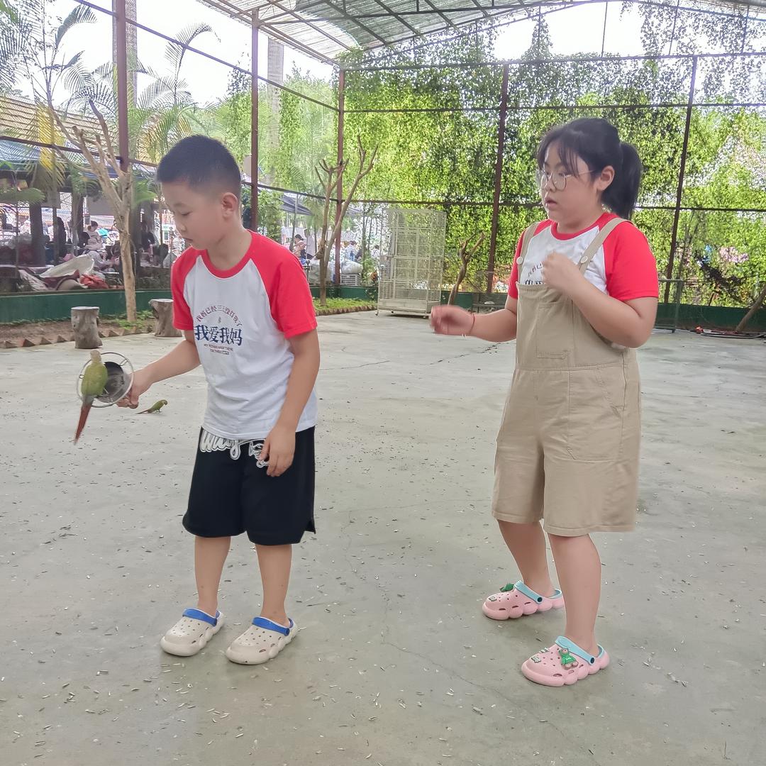 春妞