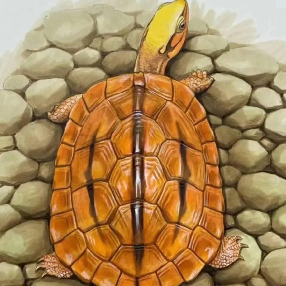 吴老板水产养殖