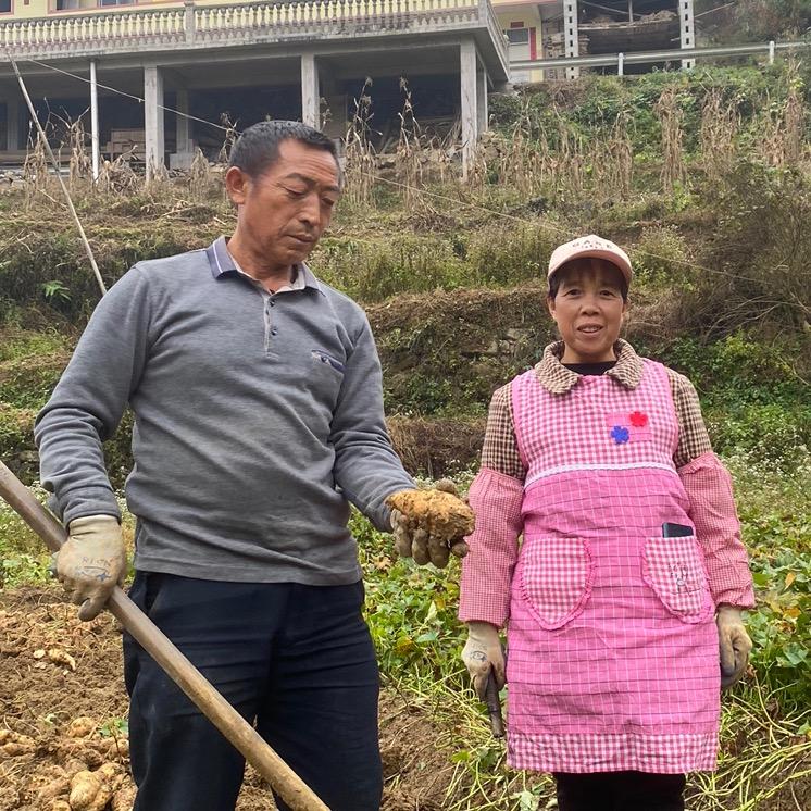 农村田二姐