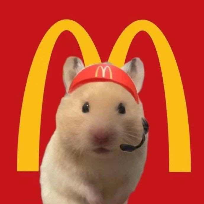 晖晖晖晖*