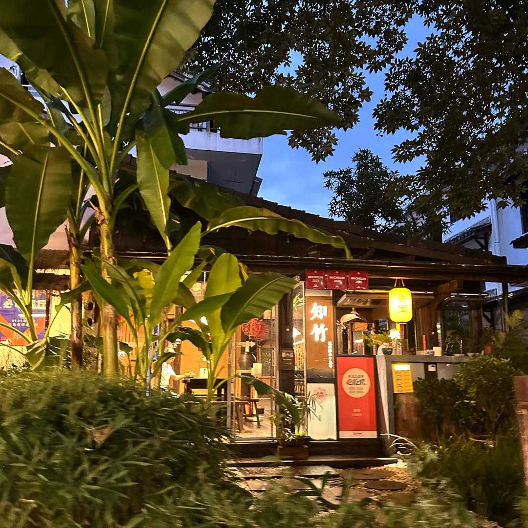 十七🕊️