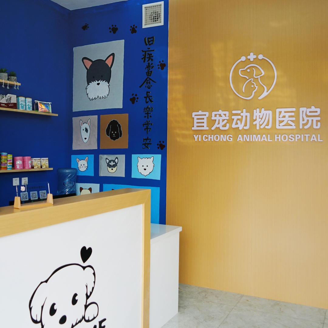 秦皇岛宜宠宠物医院