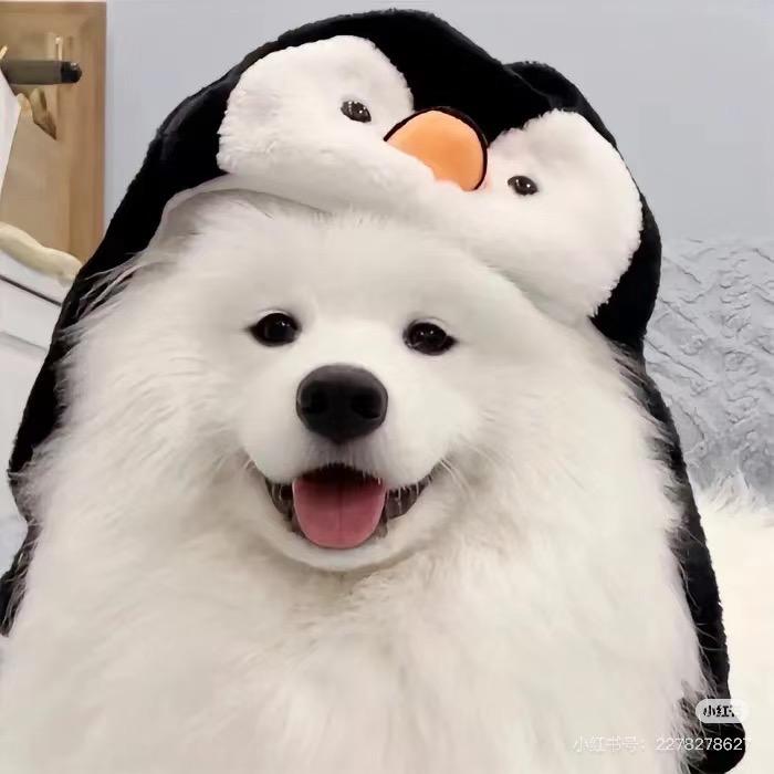 李晴朗的一天