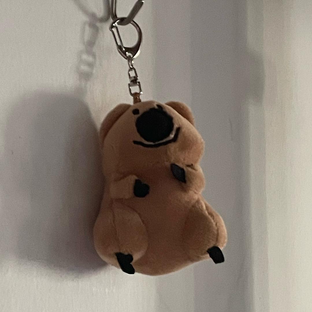（🐻）
