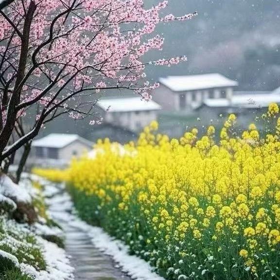 兰姐（健身中）