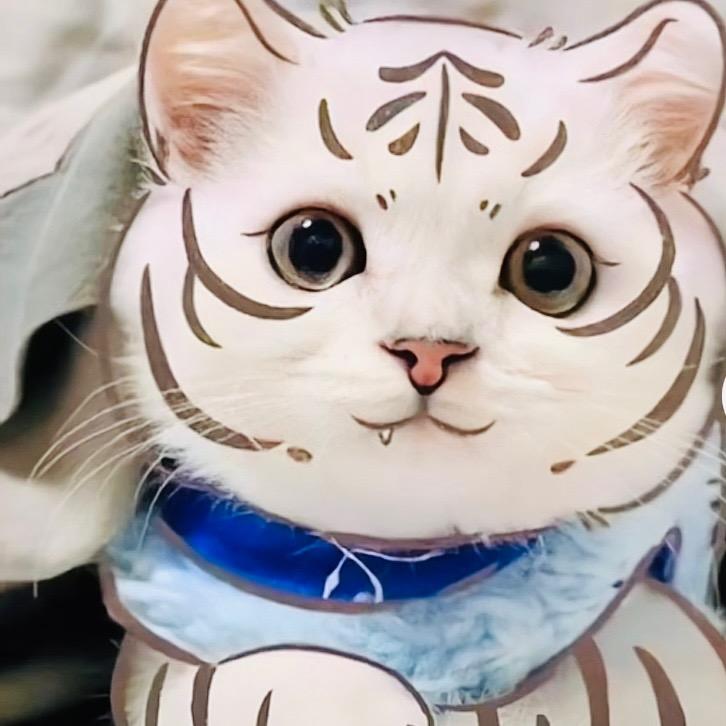 看书