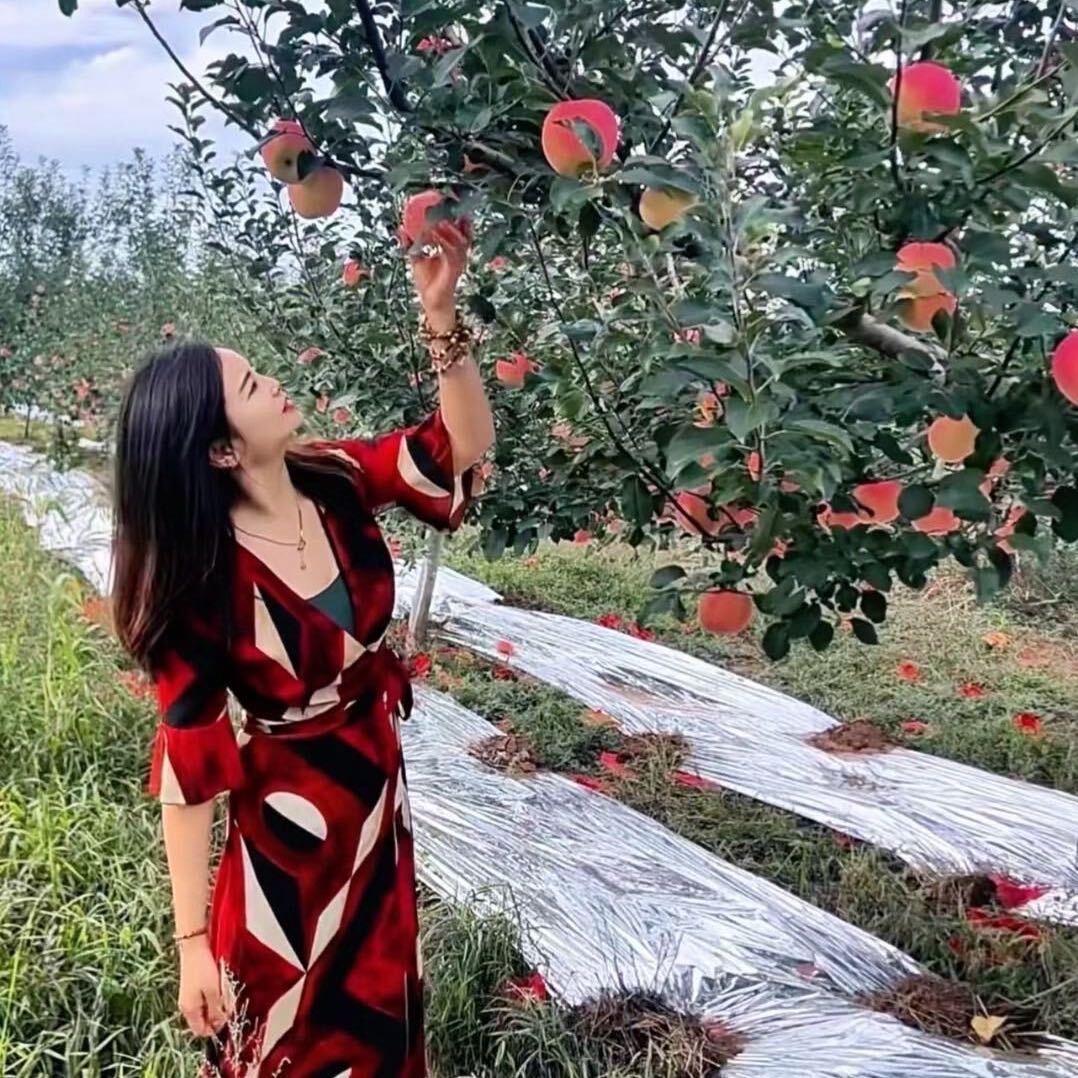 白水苹果小九（招代理）