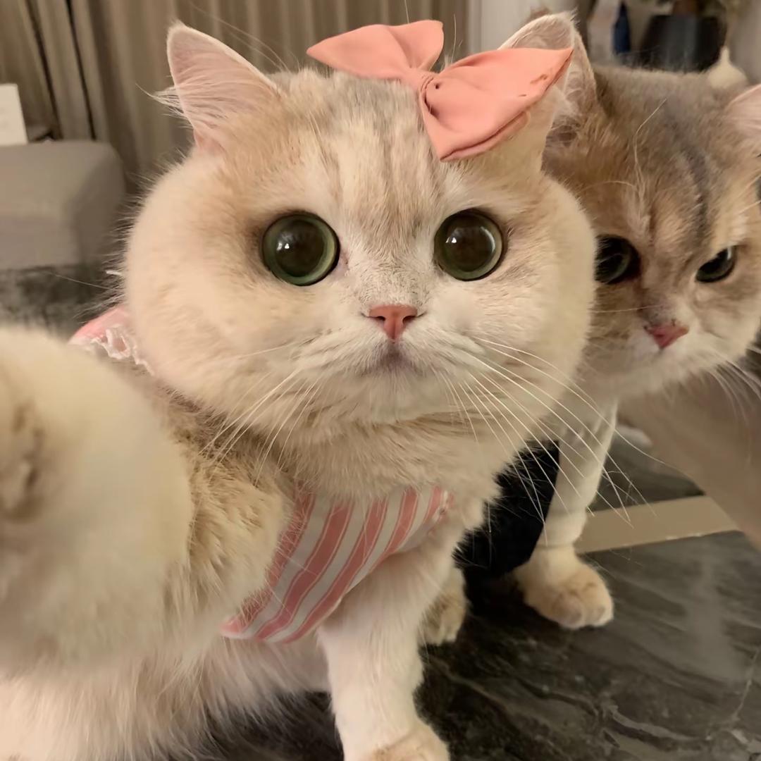 小甜酒✨